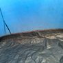 Camp Image 4