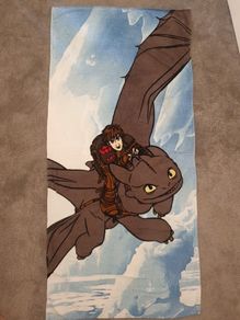 How to train your dragon towel