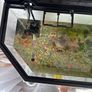 Fish Tank Image 4