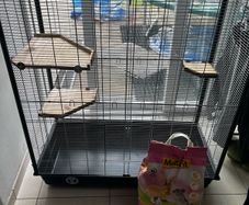 small animal cage (large)