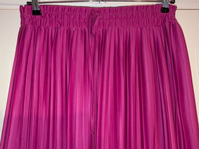 Gorgeous pleated maxi skirt