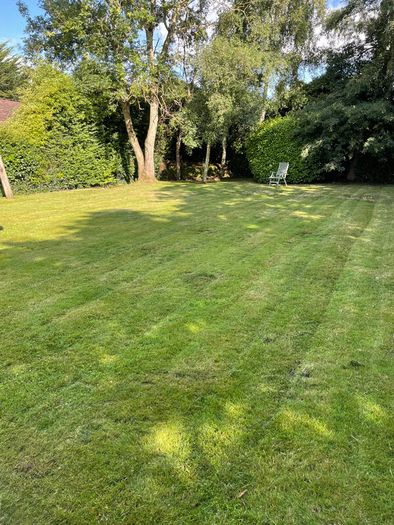 Grass Cutting & Garden Maintenance