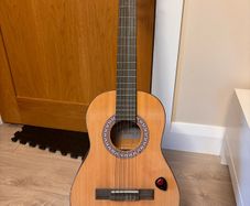 Guitar