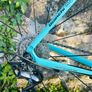 Bianchi Infinito CV carbon Image 10