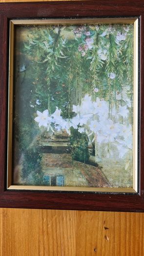 3 X Framed Picture.