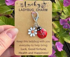 Lucky Ladybug Charm