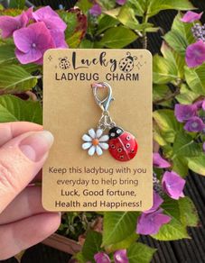 Lucky Ladybug Charm
