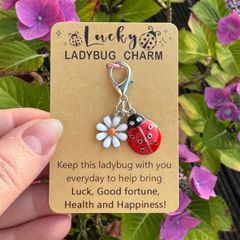 Lucky Ladybug Charm
