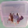 FREE kids lunch boxes Image 2