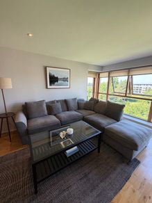Grey Sectional Couch