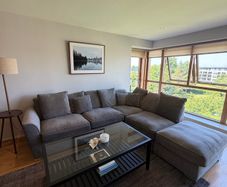 Grey Sectional Couch