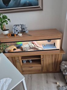 vivarium with cabinet