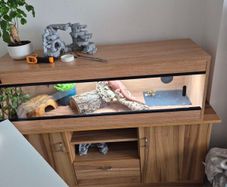 vivarium with cabinet