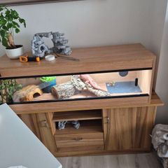 vivarium with cabinet