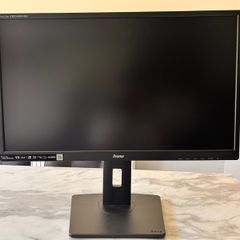 iiyama LCD monitor