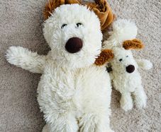 soft toys