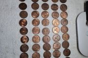 Shiny Penny Coins
