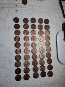 Shiny Penny Coins
