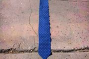 Canali Royal Blue Polka Dot Silk Tie