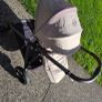 Baby Image 4