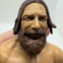 wwe Daniel Bryan action figure Image 5