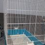 Bird Cage Image 2