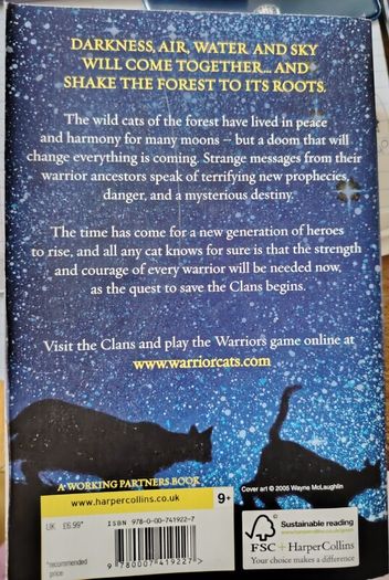 Warriors 'The New Prophecy'