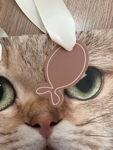 Cat Face Small Gift Bag