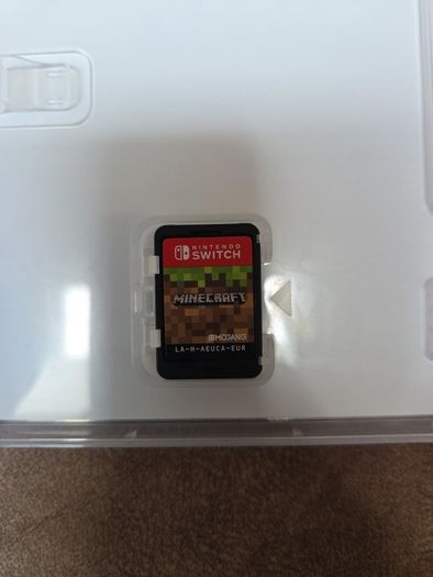 Nintendo Switch Game