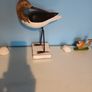 Carved wooden sea bird Image 3