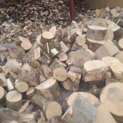 Hardwood firewood