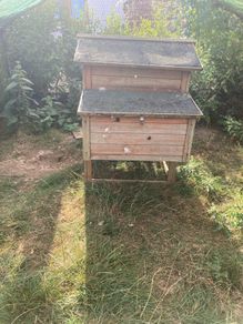 chicken coup and enclosure