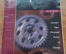 REBT DEPRESSION PAMPHLET (2877) (Rational Emotive Behavior Therapy (REBT) Learning Program), Tim Sheehan