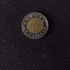 Canadian Coins : 1998 - 2 Dollars - Polar Bear