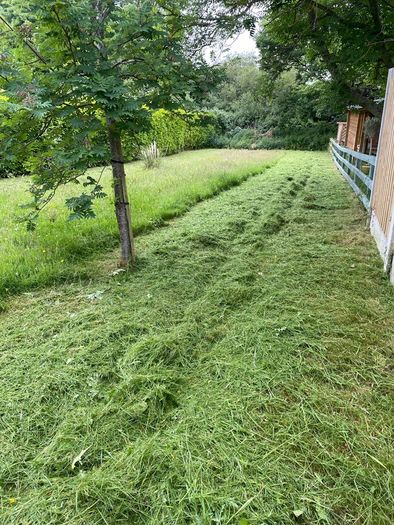 Grass Cutting & Garden Maintenance