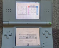 Nintendo DS Lite White (Charger & Stylus Included)