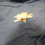 china cutterly Image 5