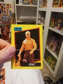 Wcw Sting Card - Wwe