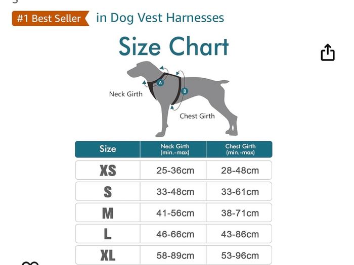Dog harness by Rabbit Goo
