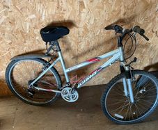 Giant bike