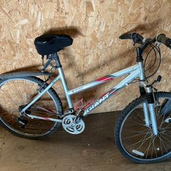 Giant bike