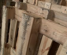 Pallets for sale