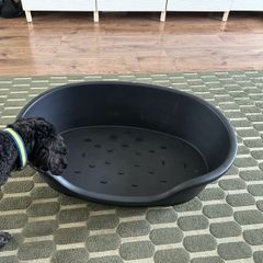 Large Dog Bed