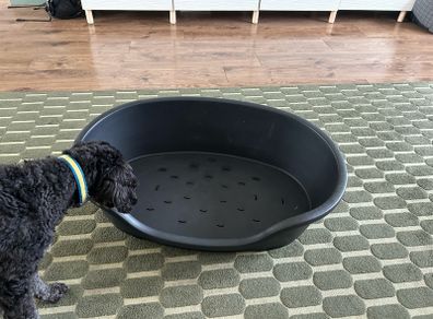 Large Dog Bed
