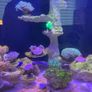 Fish tank Image 9