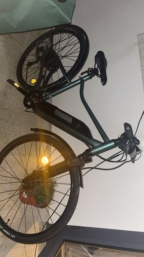 Electric bike