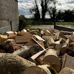 Firewood