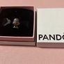 Pandora Little chick charm Brand New Image 6