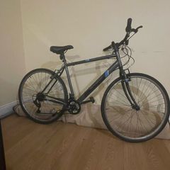 Hybrid bike