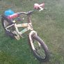 Apollo Woodland Charm Bike Image 2